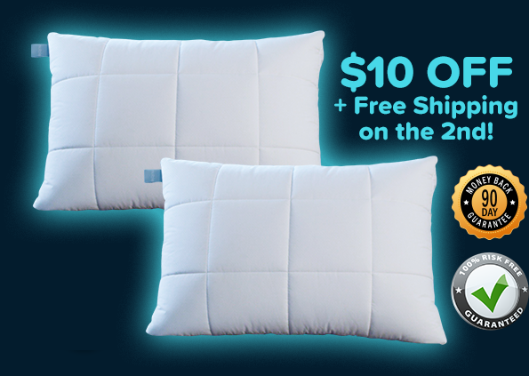 $40 OFF ON 2ND PILLOW!